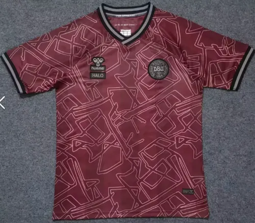 Camisa Dinamarca Seleção Edição Especial 2024/2025 Futebol Qualidade Tailandesa