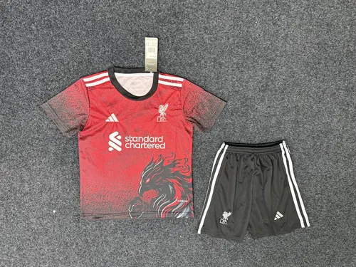 2025/2026 Liverpool Special Edition 04 Football Jersey AAA fan-grade Kids Size