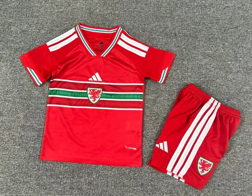 2026 Maillot Domicile Pays de Galles Football Qualité Thaï Taille Enfant