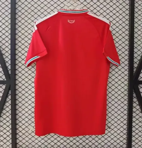 2026 Wales Heimtrikot Thai-Qualität — view 2