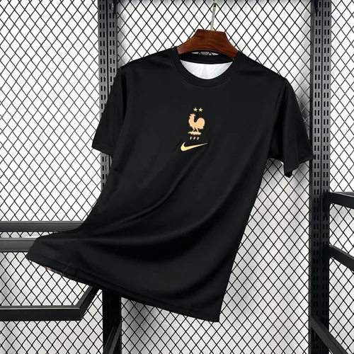 2026 France Goalkeeper-Black Jersey AAA fan-grade