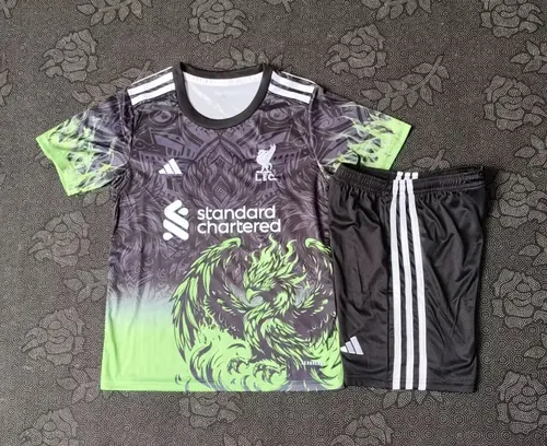2025/2026 Liverpool Special Edition Gray and Green Football Jersey AAA fan-grade Kids Size