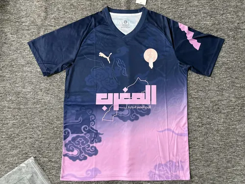 2025/2026 Morocco National Team Special Edition 01 Football Jersey AAA fan-grade