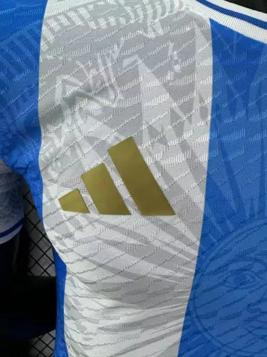 2024/2025 Player Version Argentina Special Edition Jersey 03 — view 5