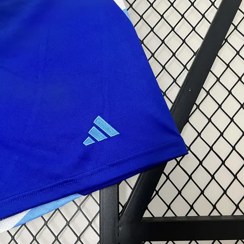 2024 Argentinien Nationalmannschaft Auswärts Shorts AAA Fan-Qualität — view 5