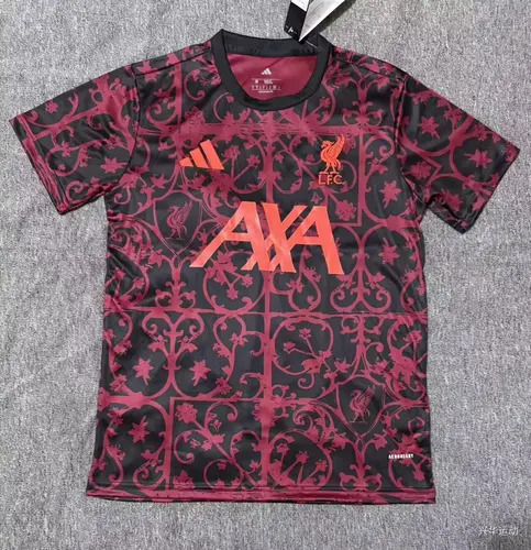 2025/2026 Liverpool Training clothes 01 Football Jersey AAA fan-grade
