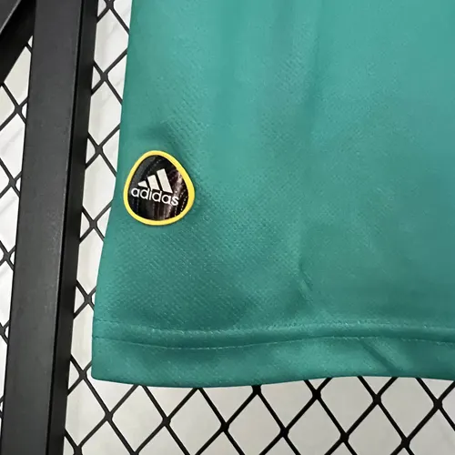 Maillot de football rétro 2010 Espagne Gardien Vert — view 9