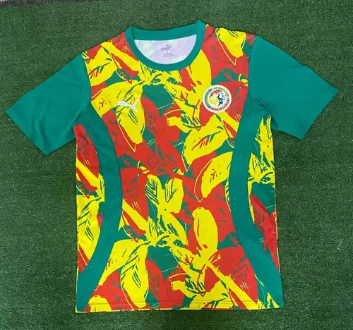 2024/2025 Senegal National Team Training Wear Football Shirt AAA fan-grade