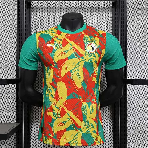 2025/2026 Versão Jogador Senegal Seleção Nacional Pré-jogo Conjunto Camisa de Futebol Qualidade Tailandesa