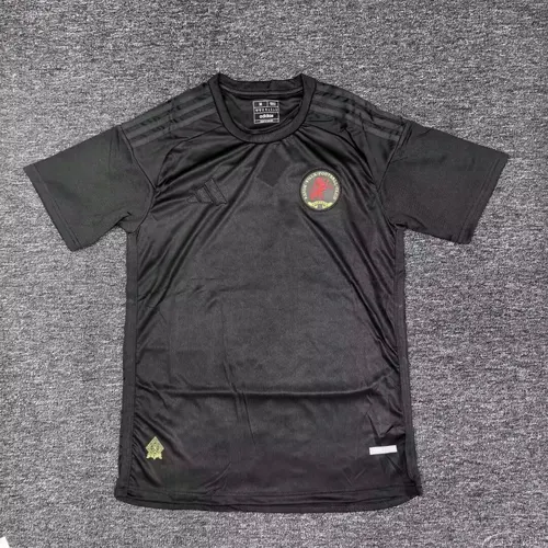 2025/2026 Aston Villa 125th Anniversary EditionFootball Shirt AAA fan-grade