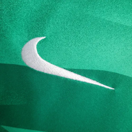 2023/2024 Psg Paris Saint-Germain Camiseta de Portero Verde — view 4