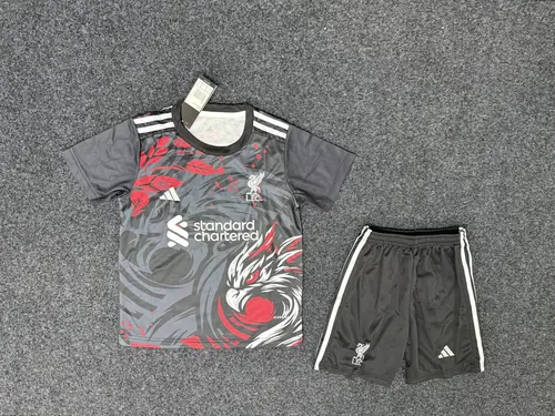 2025/2026 Liverpool Special Edition 02 Football Jersey AAA fan-grade Kids Size