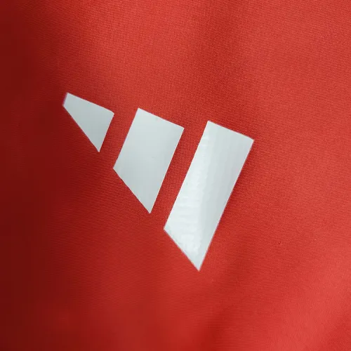 2023 Benfica Soccer Jersey Windbreaker Red — view 5