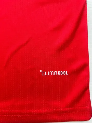 2026 Wales Heimtrikot Thai-Qualität — view 4