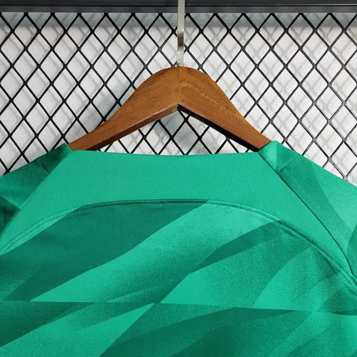 2023/2024 Psg Paris Saint-Germain Camiseta de Portero Verde — view 6