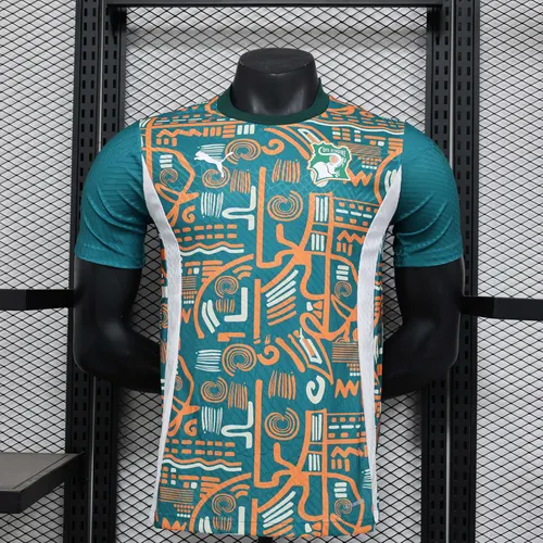 2024/2025 Player Version Côte d'Ivoire National Team Training Wear Football Shirt AAA fan-grade