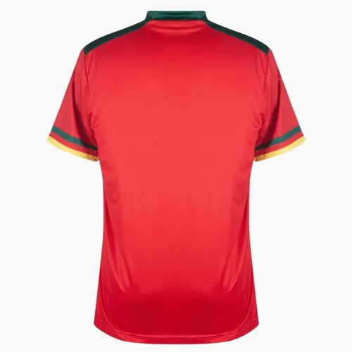 Maillot Extérieur Third Équipe Nationale Cameroun Coupe du Monde FIFA 2022 — view 2