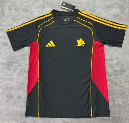 2025/2026 Roma Special Edition Football Jersey AAA fan-grade