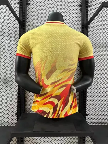 2024/2025 Player Version Spain Special Edition Jersey 03 — view 2