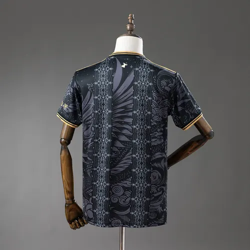 2026/2027 Argentinien Sonderedition Trikot AAA Fan-Qualität — view 2