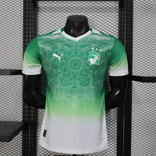 2026 Player Version Côte d'Ivoire Special Edition Green Football Shirt AAA fan-grade
