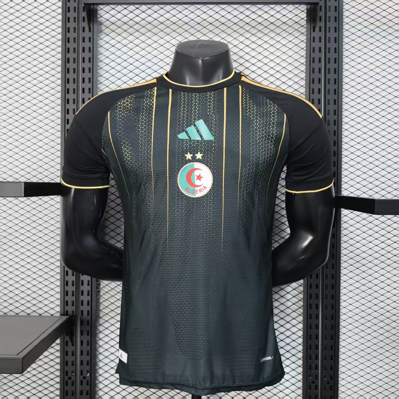 2026 Player Version Algeria National Team Black Gold Special Edition Football Shirt AAA fan-grade