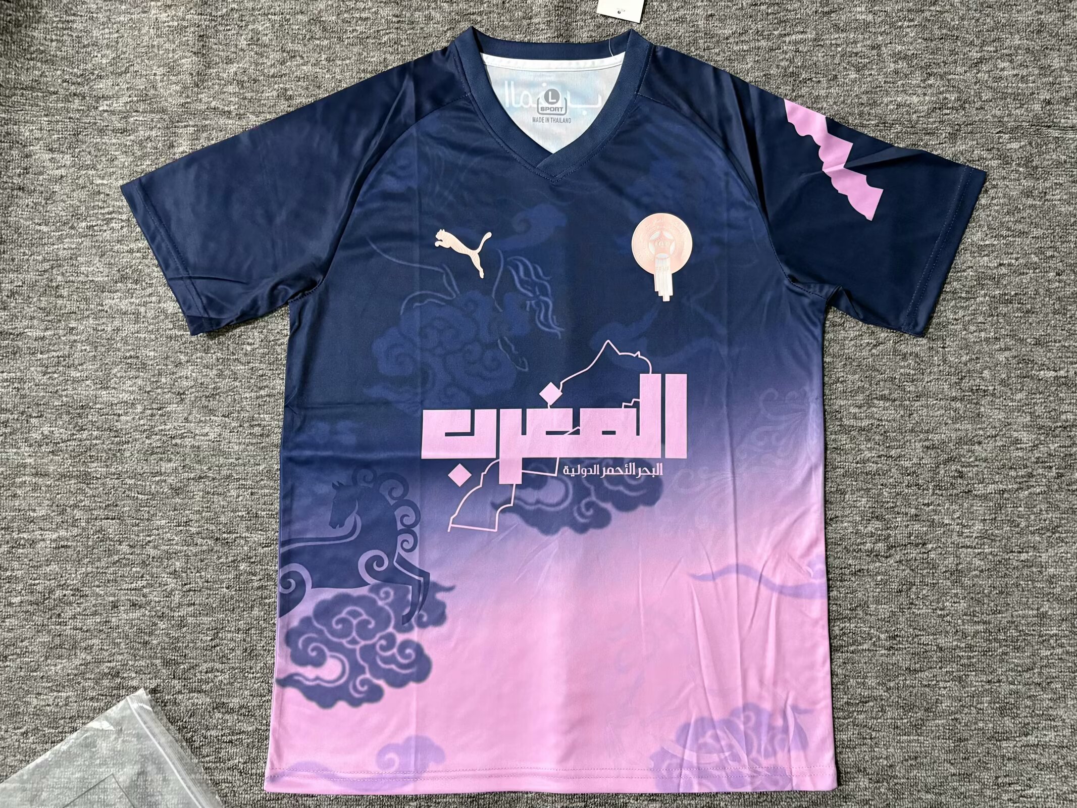 2025/2026 Morocco National Team Special Edition 01 Football Jersey AAA fan-grade