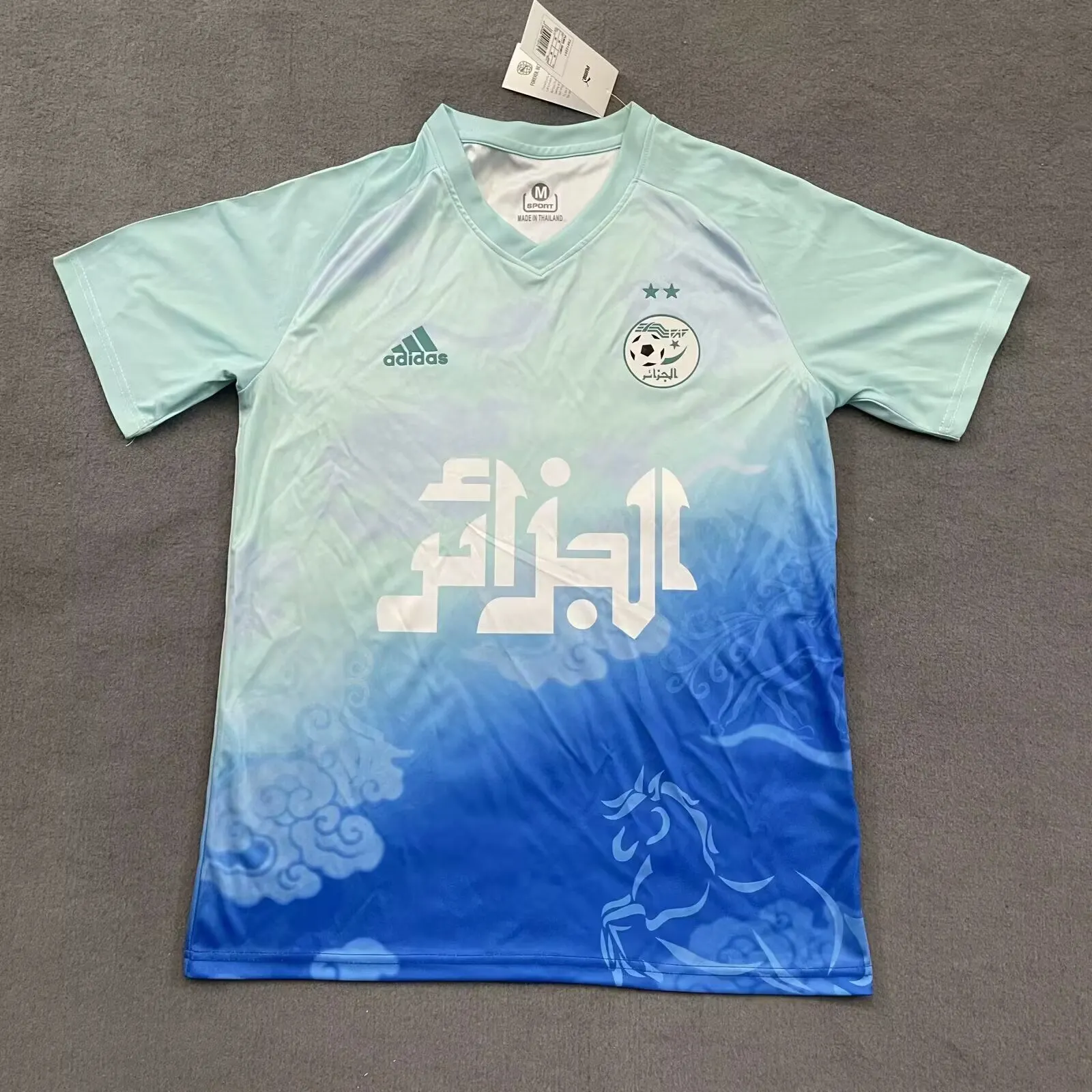 2025/2026 Algeria National Team Training clothes Football Shirt AAA fan-grade