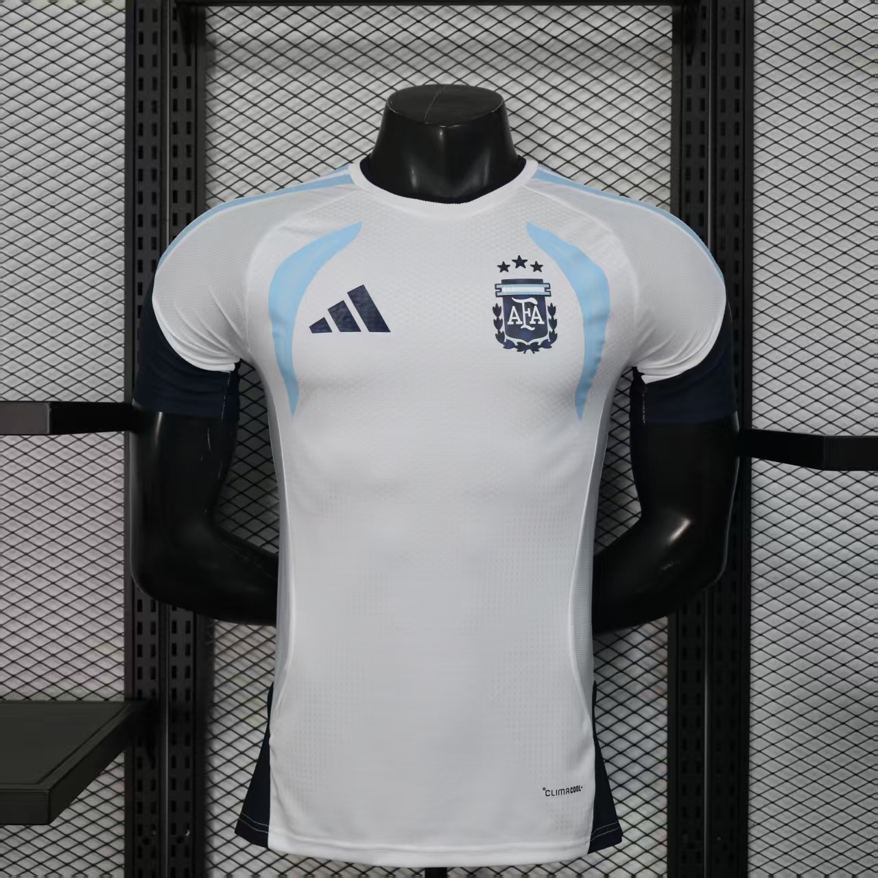 2026 Player Version Argentina Train Jersey AAA fan-grade