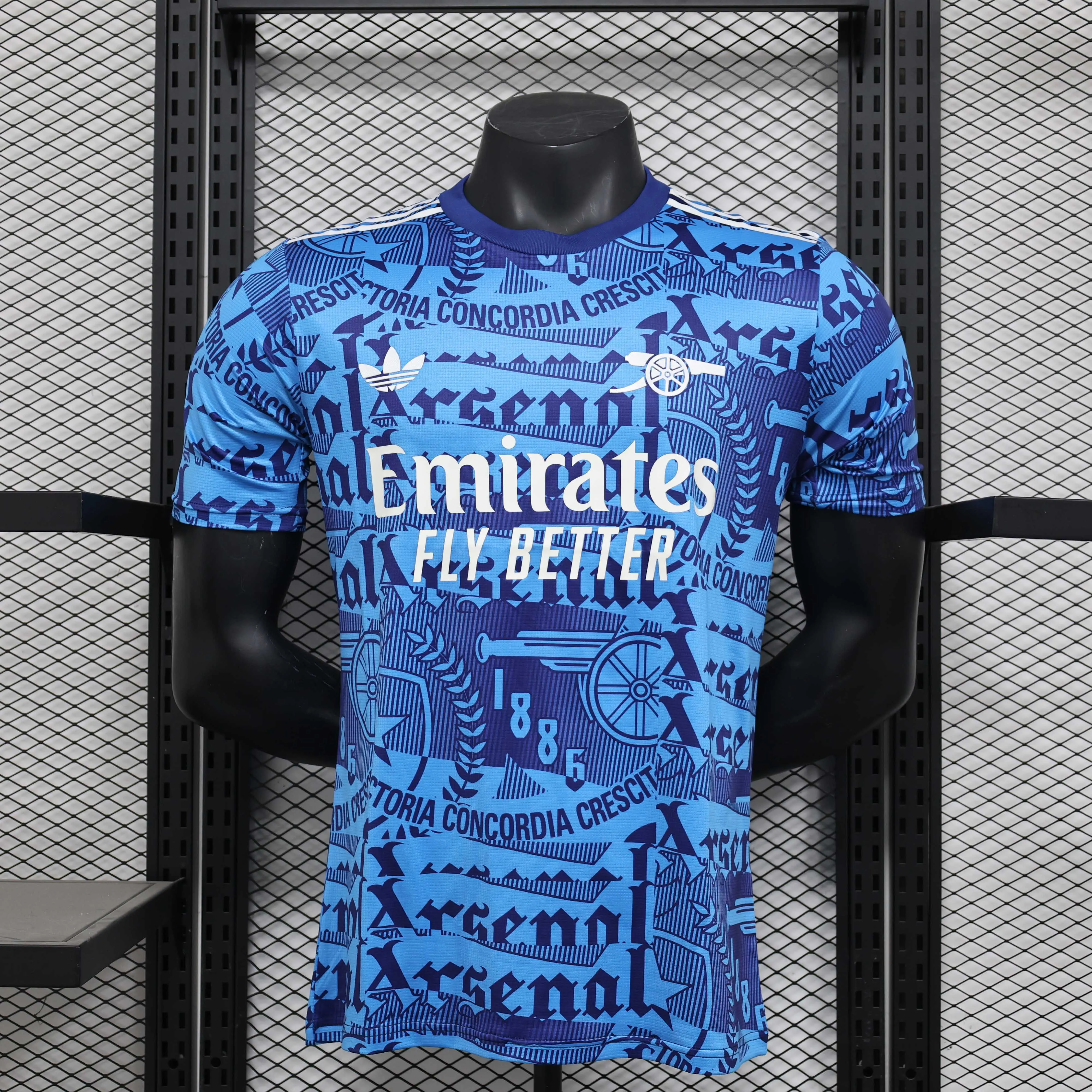 2024/2025 Player Version Arsenal Special Edition Football Jersey AAA fan-grade