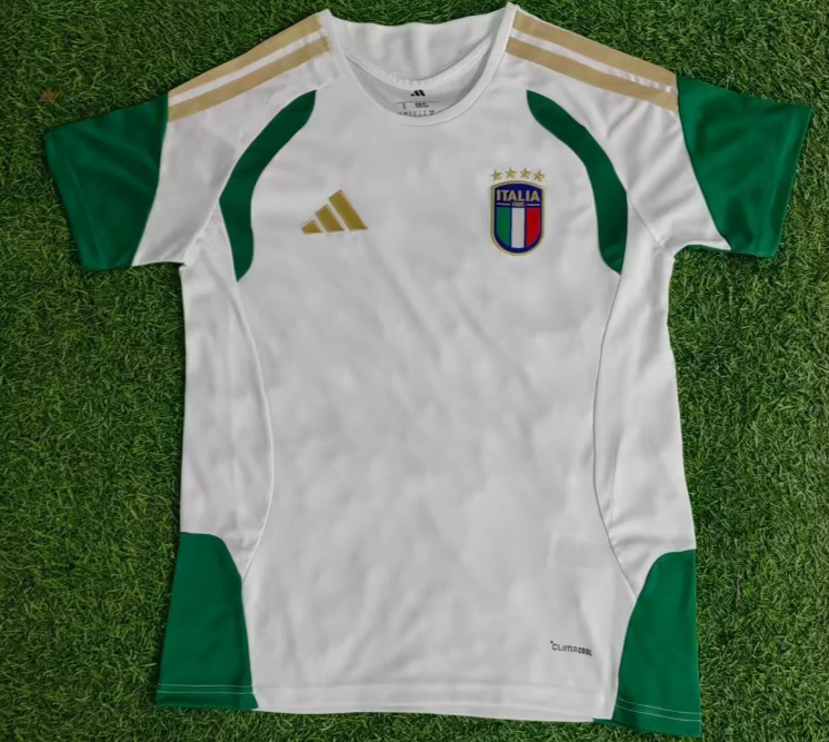 2026/2027 Italy Training Suit White Football Jersey AAA fan-grade