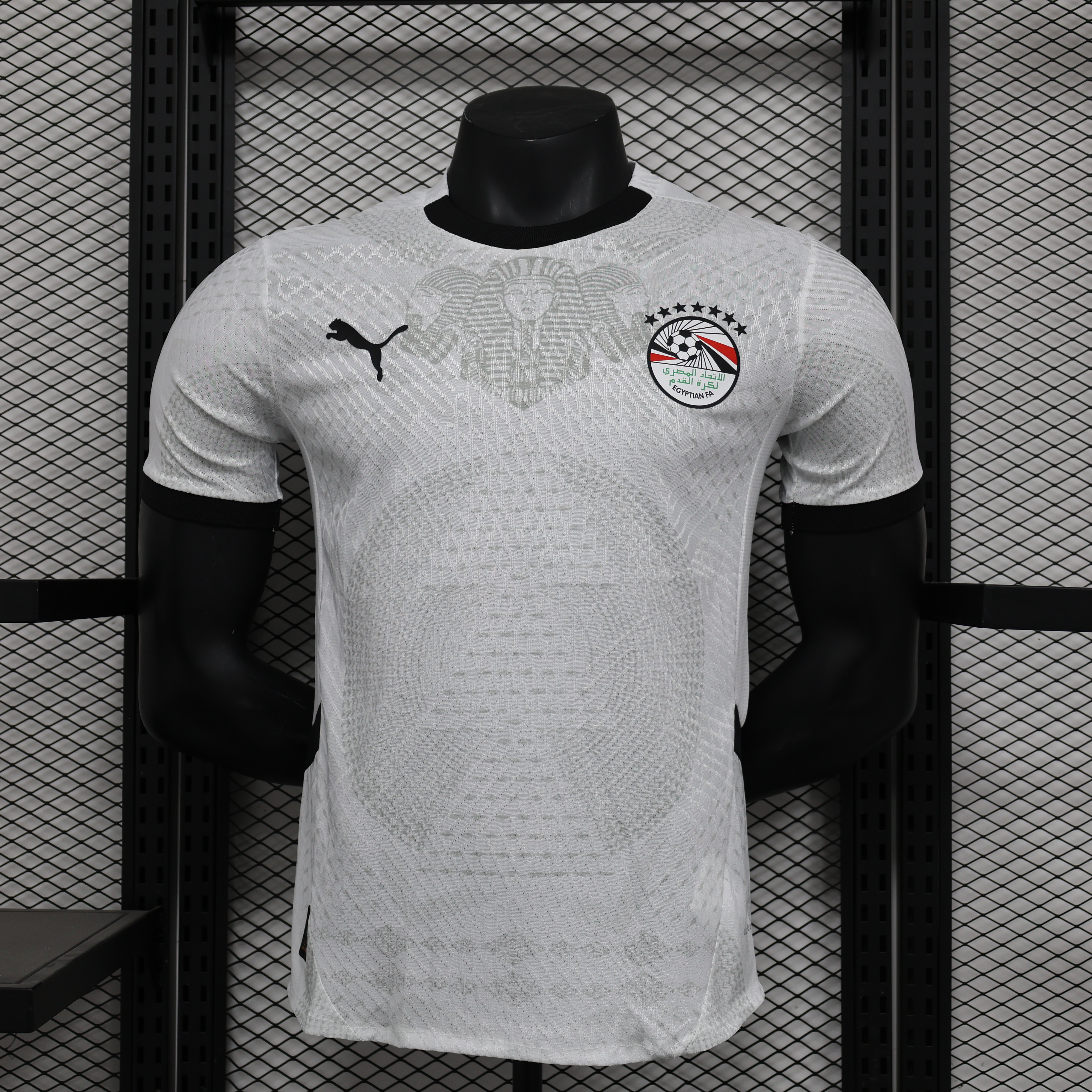 2024/2026 Player Version Egypt National Team Away Football Shirt AAA fan-grade