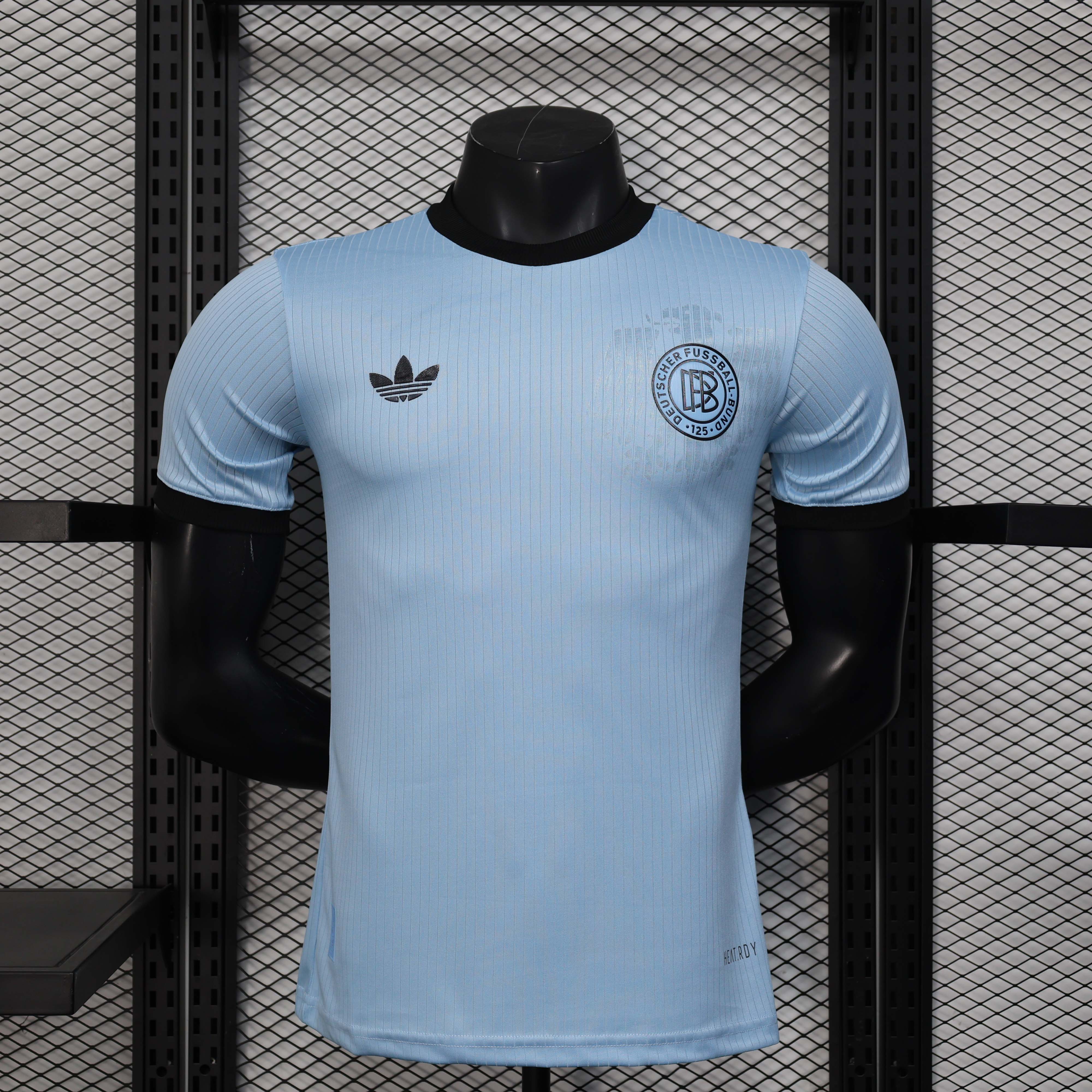 2025 Player Version Germany 125th Anniversary Edition Goalkeeper Light Blue Football Shirt AAA fan-grade
