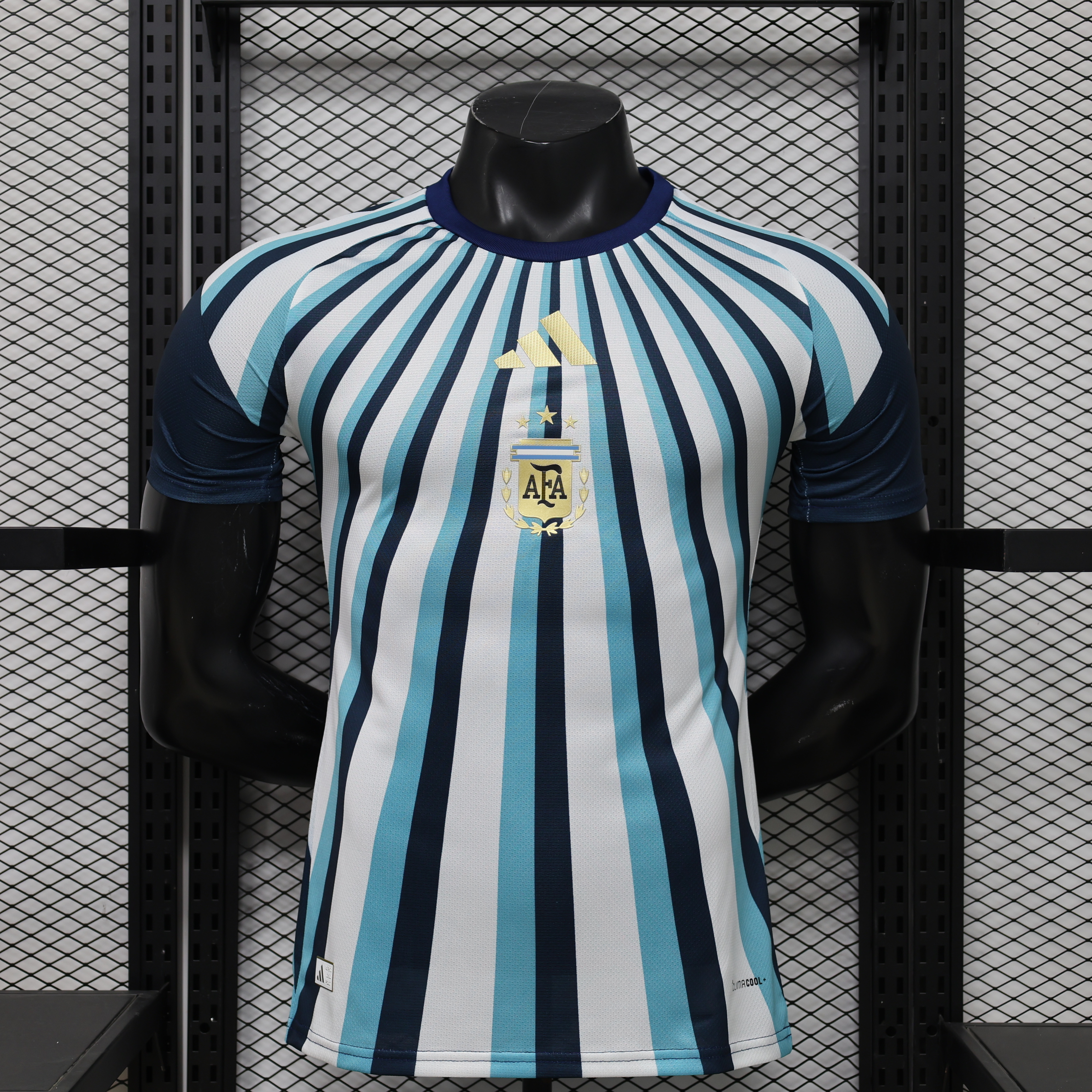2026 Player Version Argentina Special Edition Jersey AAA fan-grade