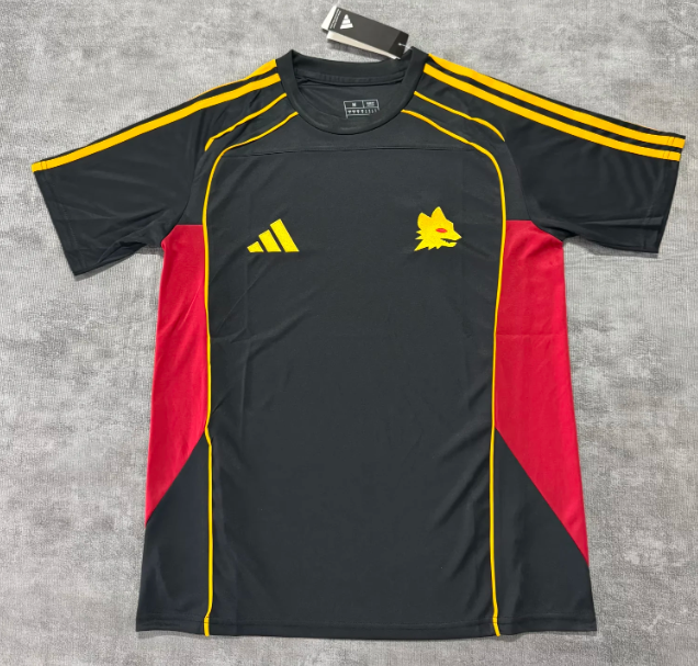 2025/2026 Roma Special Edition Football Jersey AAA fan-grade